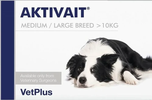  VetPlus Aktivait Średnie i Duże Rasy - poprawia funkcjonowanie układu nerwowego