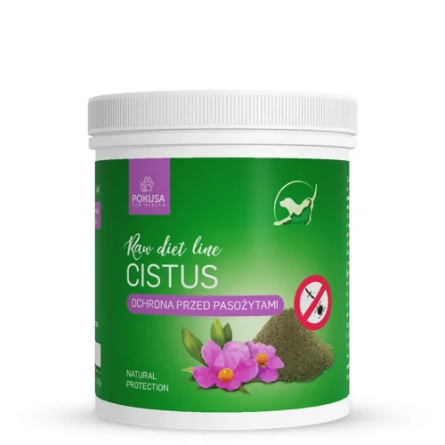 Pokusa Czystek 100g
