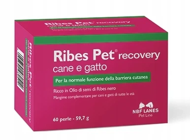 NBF Lanes Ribes Pet Recovery Cane e Gatto 60 kaps