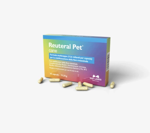 Reuteral Pet cane 30 kaps