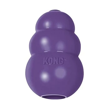 kong_senior.webp