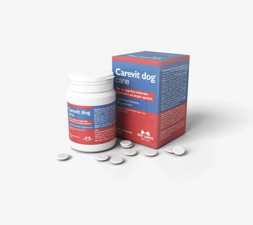 NBF Lanes Carevit Dog Cane 100 tabl