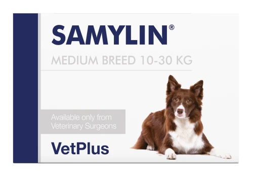 VetPlus Samylin Rasy Średnie 30 Tabletek - wspomaga pracę i funkcjonowanie wątroby
