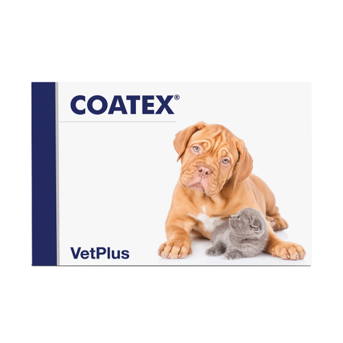VetPlus Coatex 60 kaps dla psa i kota z zaburzeniami dermatologicznymi