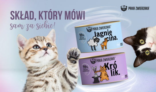 Skład który mówi sam za siebie! Sklep internetowy Pupil Butik